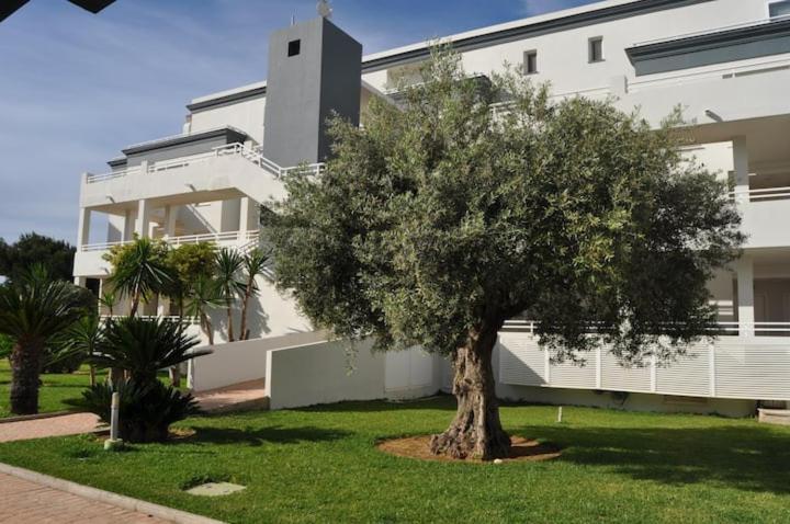 Met&Golf Oliva Nova Beach Jardin Exterior photo